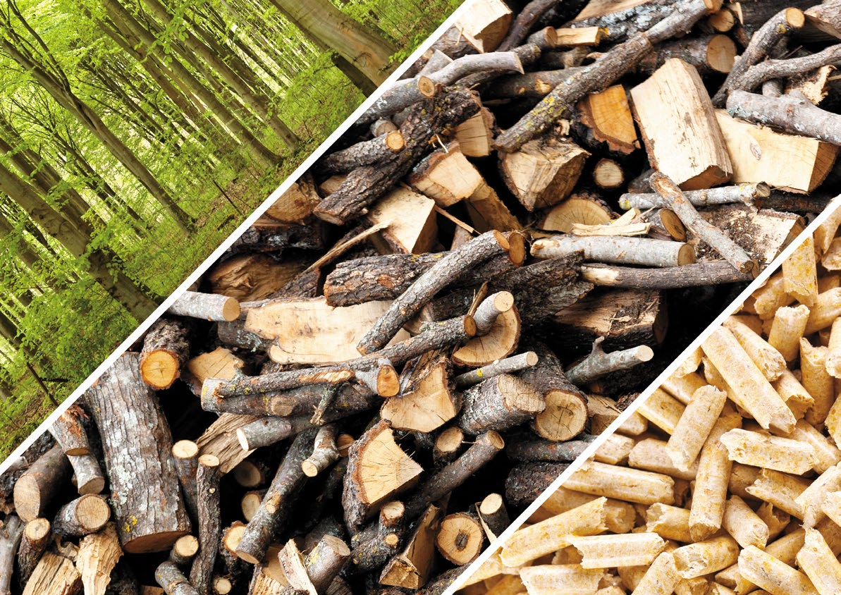 Производство древесных топливных гранул
