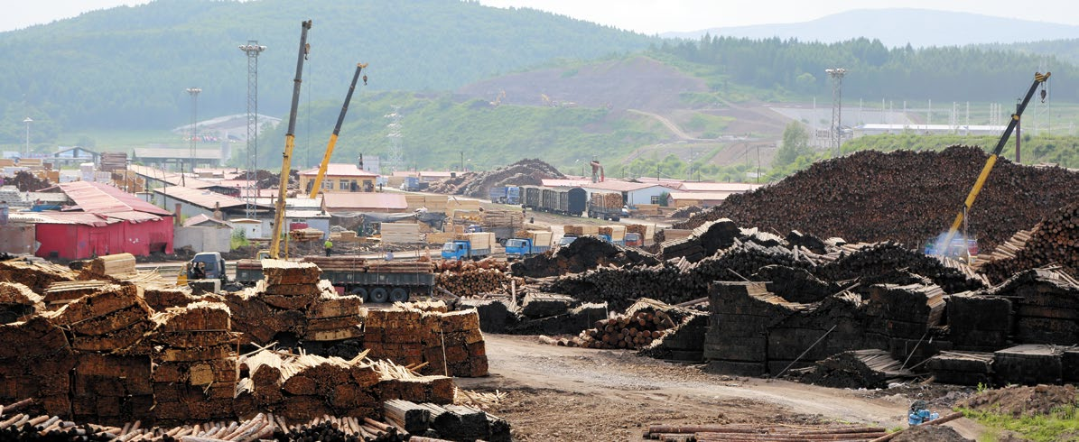 Суйфэньхэ — столица деревообрабатывающей промышленности Китая